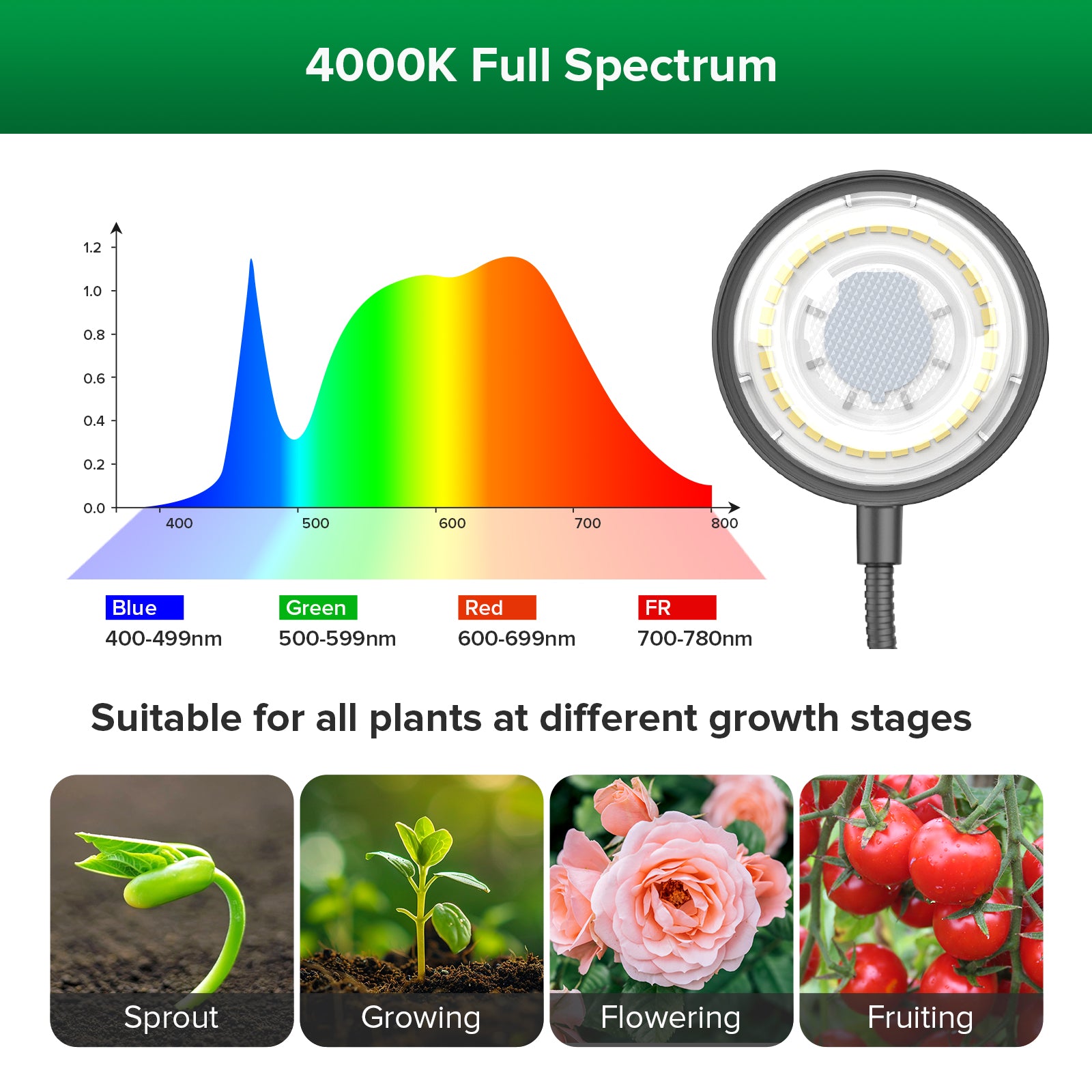 SANSI 12W Tabletop LED Grow Light (EU/UK ONLY)
