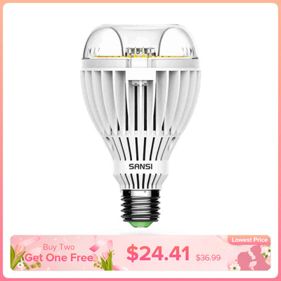 Lampadina LED A21 36W 3000K/5000K (SOLO USA/CA) 