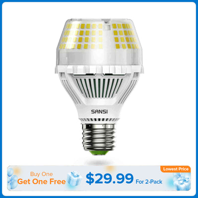 A19 25W LED Light Bulb