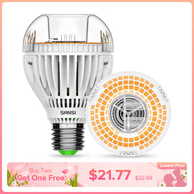 A19 30W LED 3000K/5000K Glühbirne (NUR USA/Kanada)
