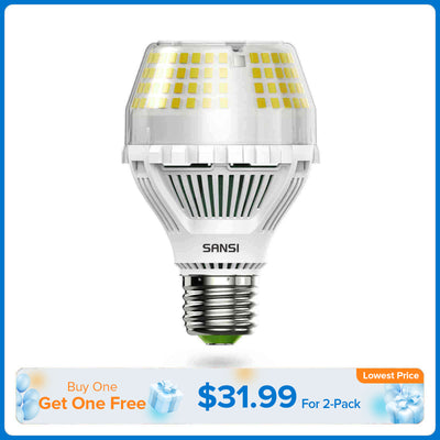 A19 25W LED Light Bulb