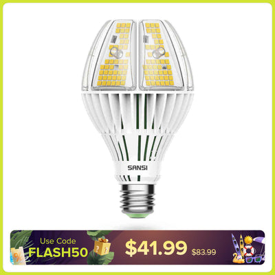 Lampadina LED A21 60W 5000K (SOLO USA/CA)