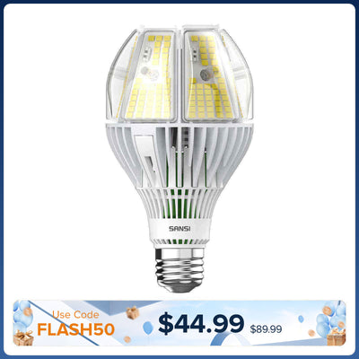 Ampoule LED A21 65W 5000K (US/CA UNIQUEMENT)