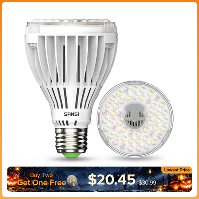 PAR25 30W LED-Pflanzenlampe