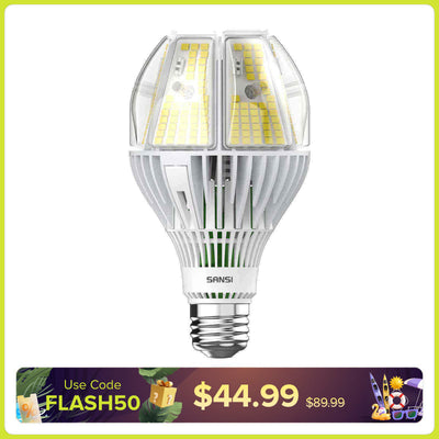 Lampadina LED A21 65W 5000K (SOLO USA/CA) 