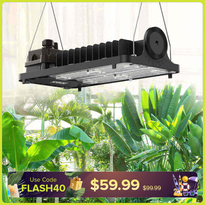 Dimmbares 100-W-LED-Wachstumslicht