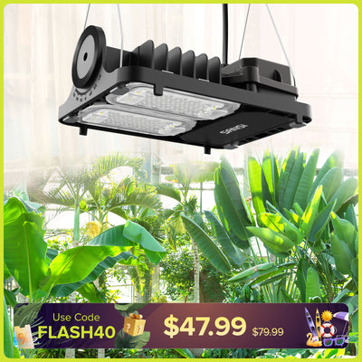 Dimmbare 70-W-LED-Pflanzenlampe (NUR FÜR GROSSBRITANNIEN)