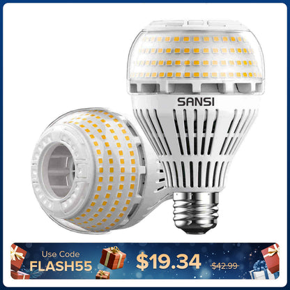 A21 22W LED 3000K/5000K Light Bulb