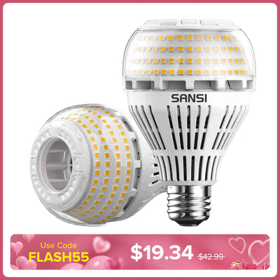 Lampadina LED A21 22W 3000K/5000K 