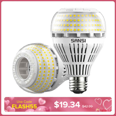 Lampadina LED A21 22W 3000K/5000K 