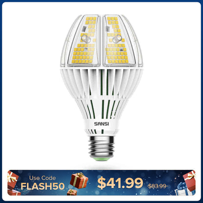Lampadina LED A21 60W 5000K (SOLO USA/CA)