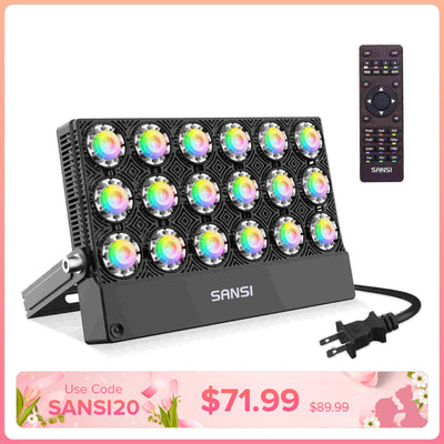 100W RGB LED Flood Light (US ONLY)
