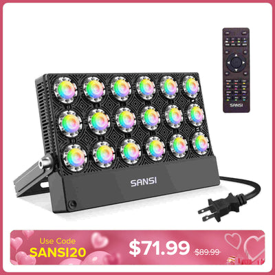 100W RGB LED Flood Light (US ONLY)