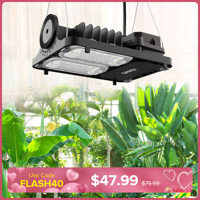 Lampada LED da coltivazione dimmerabile da 70 W (SOLO Regno Unito)