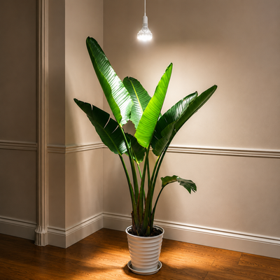 SGLEDs BR30 40W Hanging Grow Light Bulb with Remote Control(US ONLY)
