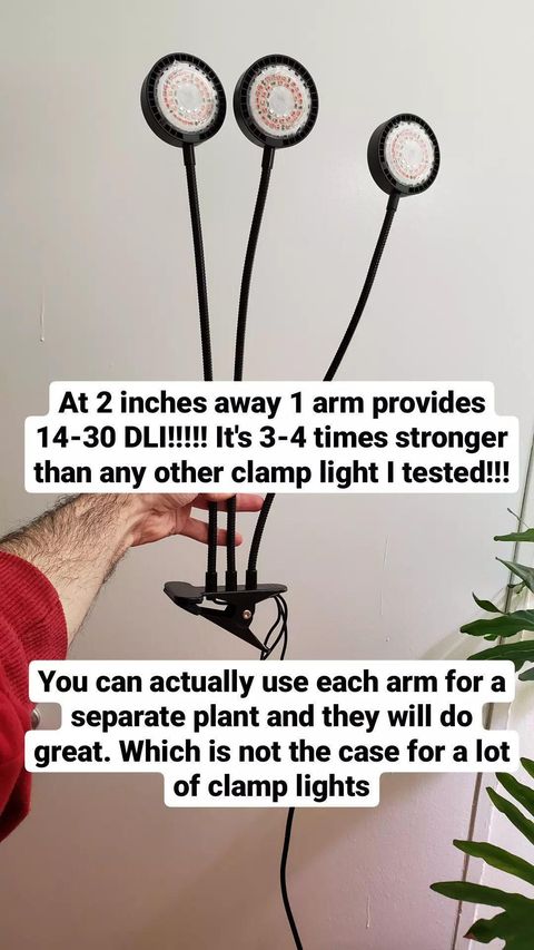 At 2 inches away 1 arm provides14-30 DLl!!!!! lt's 3-4 times stronger than any other clamp light I tested!!! You can actually use each arm for aseparate plant and they will do great. Which is not the case for a lot of clamp lights.