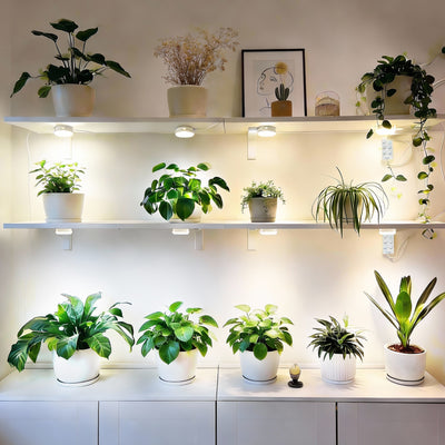 SANSI 20W Puck LED Grow Light with Timer(US/CA ONLY)