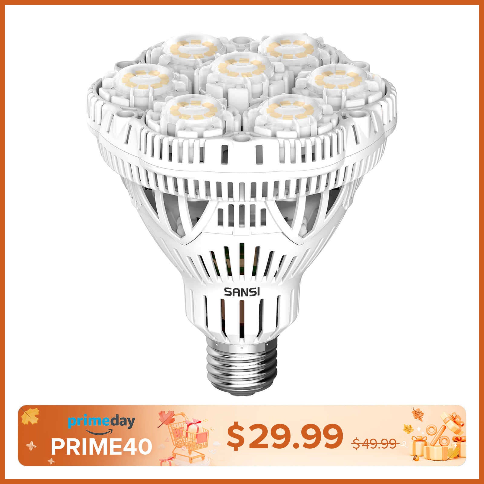 BR30 40W LED Light Bulb