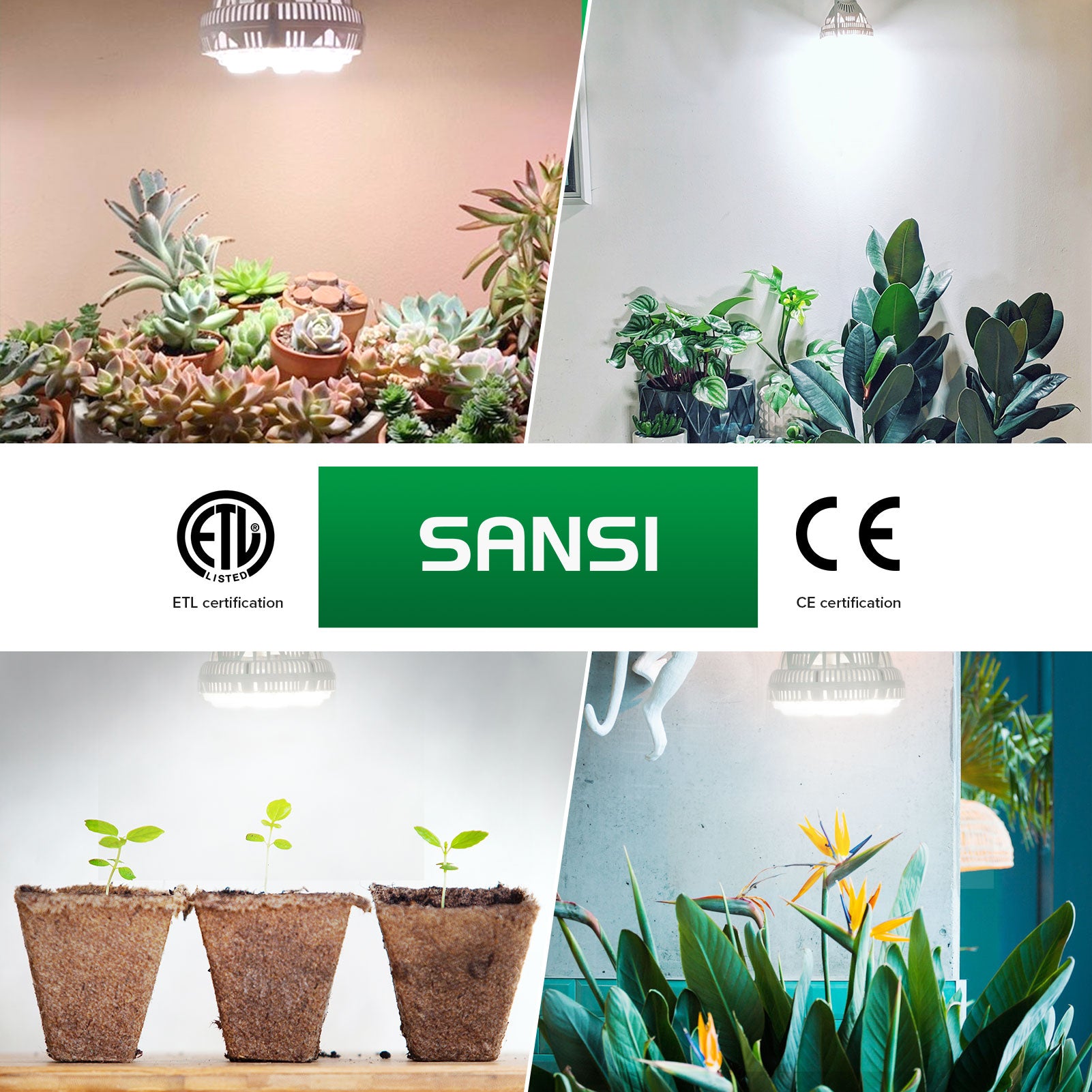 24W led grow light bulb with white light, suitable for high light and medium light indoor plants has ETL and CE certification