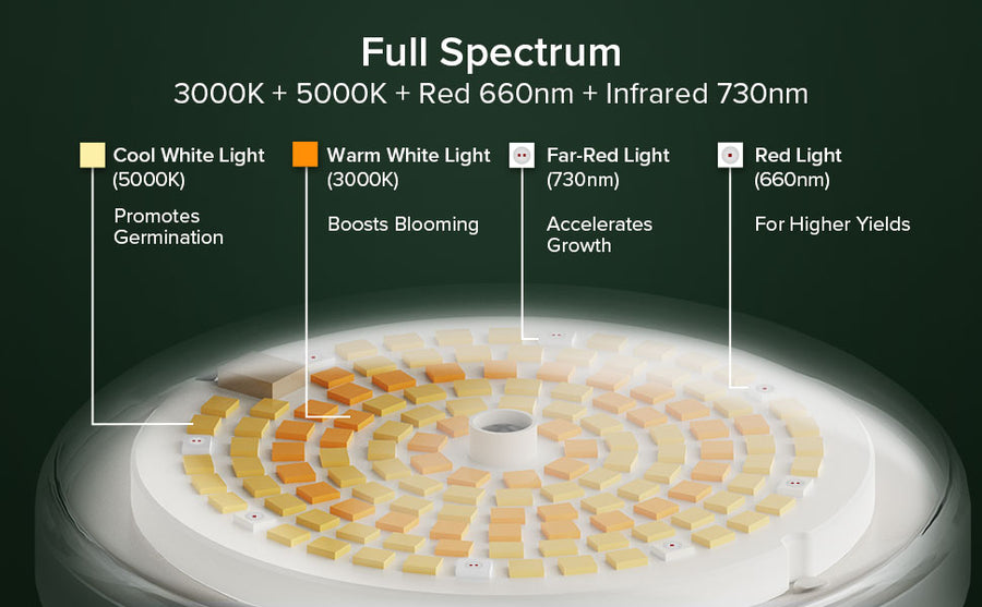 a diagram of a full spectrum