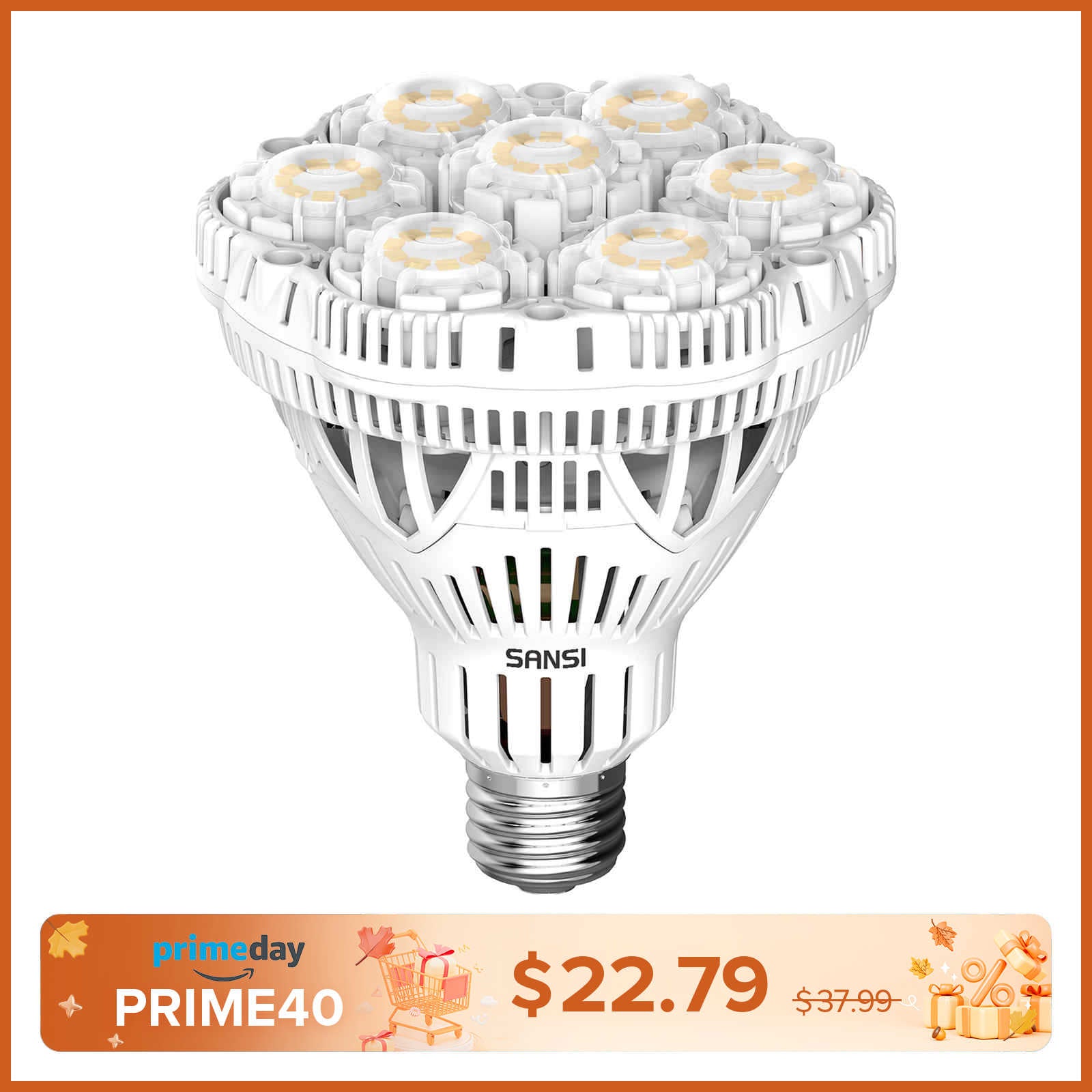 BR30 40W LED Light Bulb