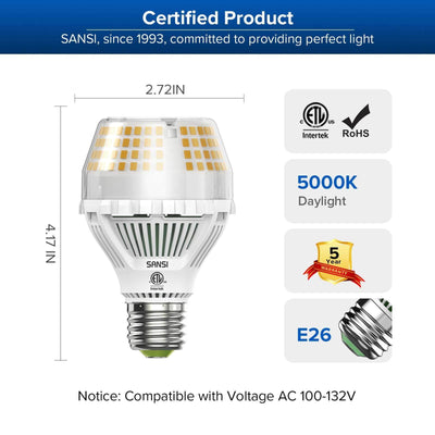 Lampadina LED A19 35W 3000K