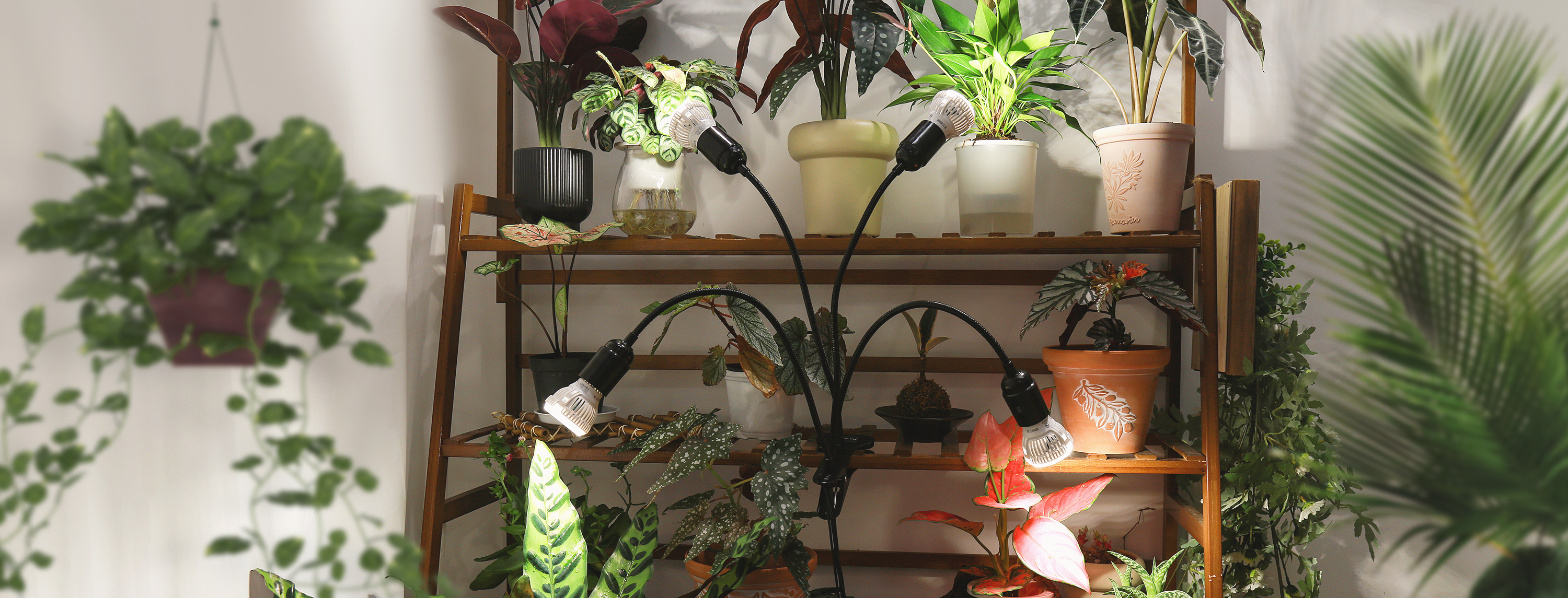 Mehrkopf-Clip-Wachstumslampe