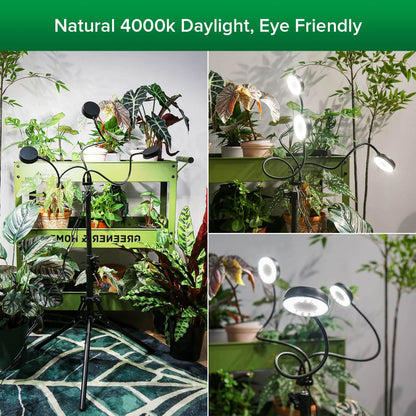 30W 3-Head Adjustable Tripod Stand Grow Light with Remote Control，natural 4000k daylight, eye friendly.