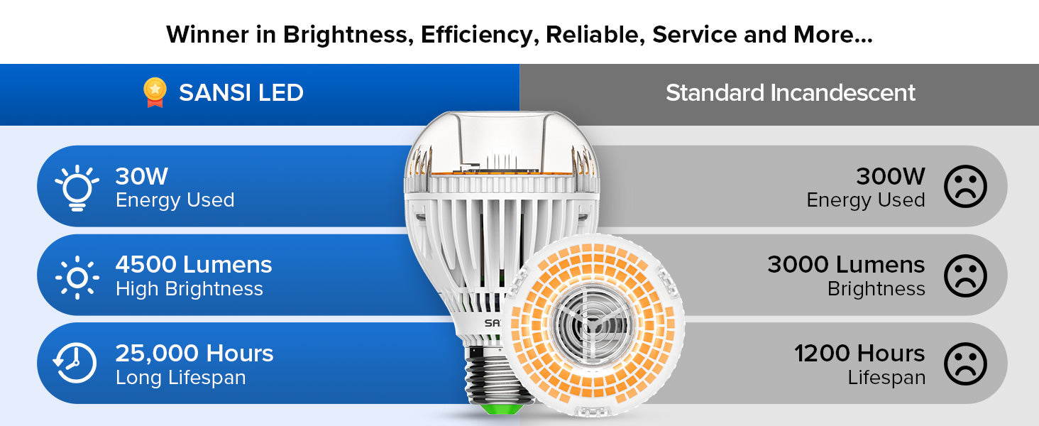 A19 30W LED 3000K/5000K Light Bulb, 45000 lumens, 25,000 working hours. Efficiency and reliable