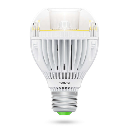 A19 30W LED 3000K/5000K Light Bulb 