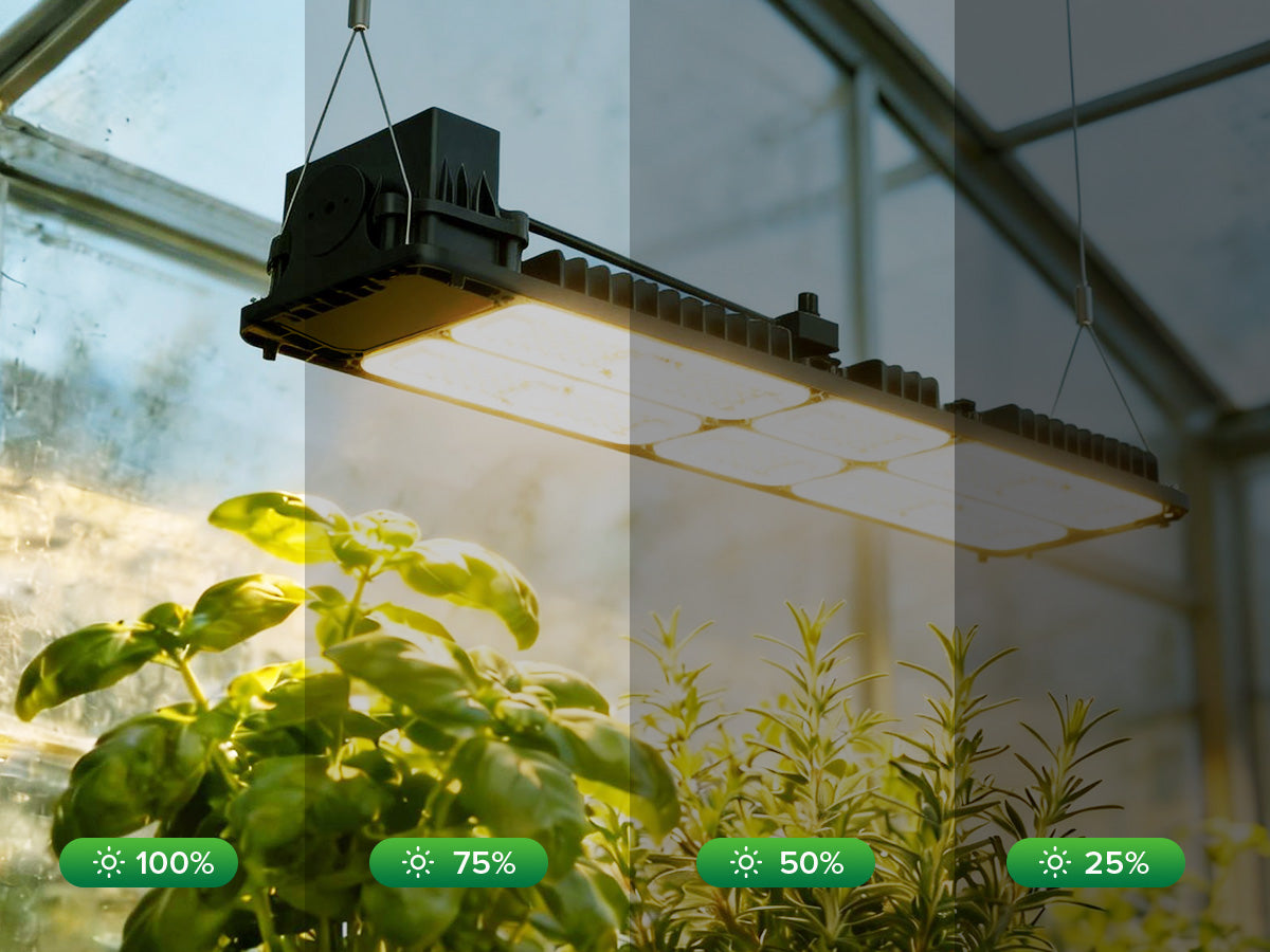 SANSI 200W Panel LED Grow Light | Remote Control – SANSI Lighting