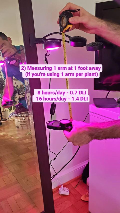 Measuring 1 arm at 1 foot away(if you're using 1 arm per plant) 8 hours/day - 0.7 DLI，16 hours/day - 1.4 DLI.