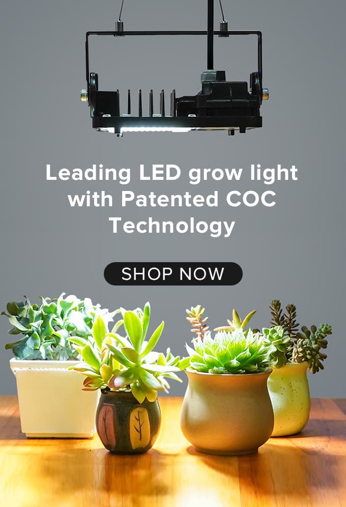 Leading LED grow light with Patented COC Technology,Recommended use of our best seller plant grow lights：DImmable 100W LED Grow LIght，come and shop now！