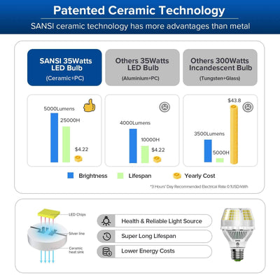 Lampadina LED A19 35W 5000K