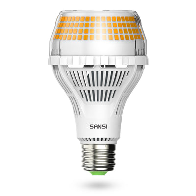 A21 40-W-LED-Glühbirne (NUR USA/KANADA) 