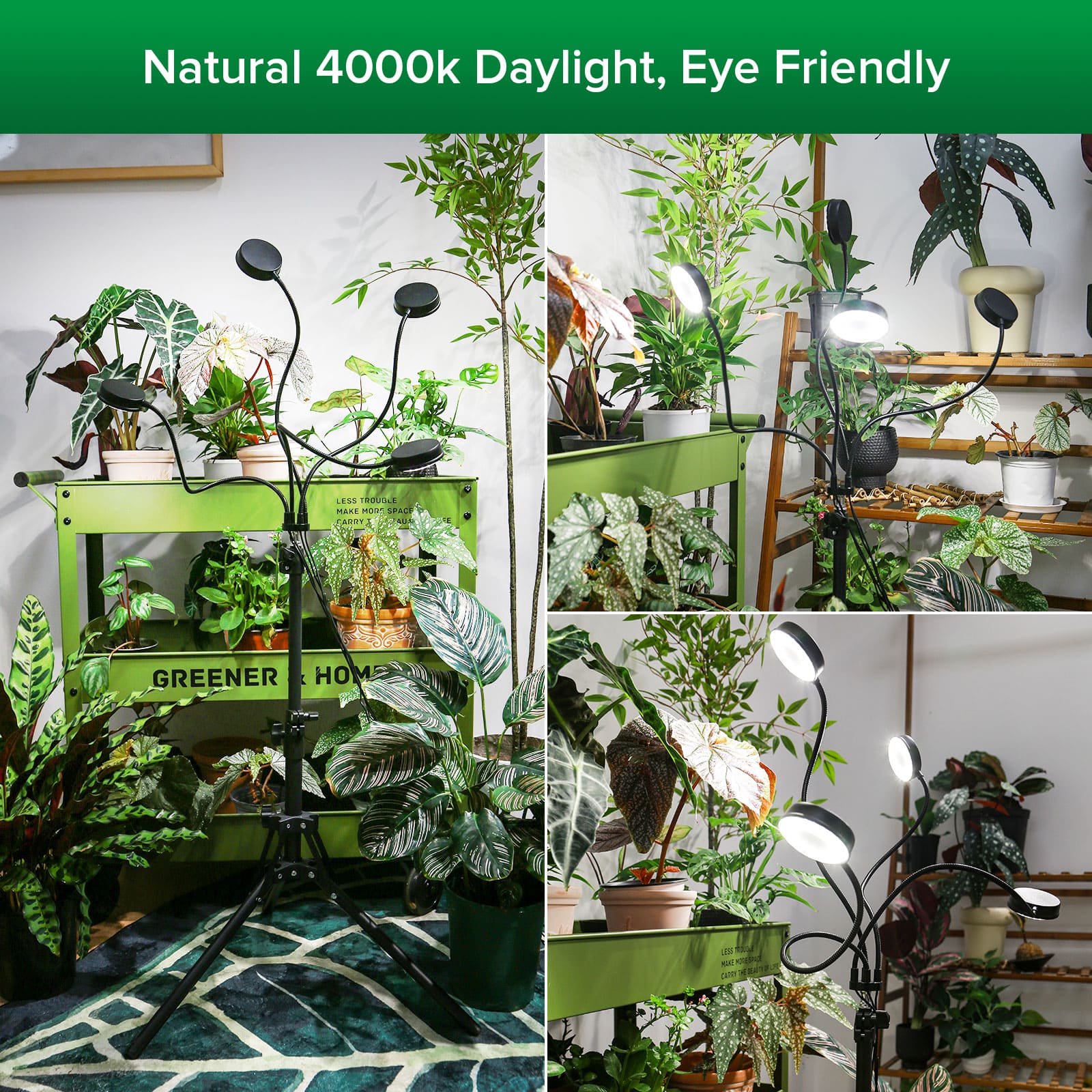 40W 4-Head Adjustable Tripod Stand Grow Light with Remote Control，natural 4000k daylight, eye friendly.