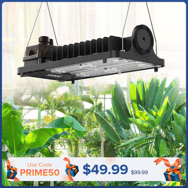 Lampada LED da coltivazione dimmerabile da 100 W