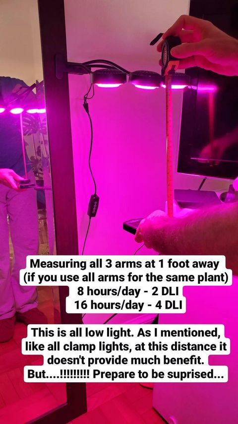 Measuring all 3 arms at 1 foot away(if you use all arms for the same plant)8 hours/day - 2 DLI，16 hours/day - 4 DLI.This is all low light. As I mentioned,like all clamp lights, at this distance it doesn't provide much benefit.But prepare to be suprised.