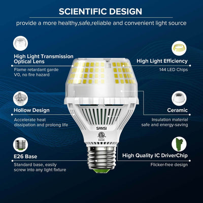 Lampadina LED A19 35W 5000K