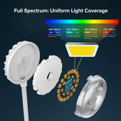 Full Spectrum: Uniform Light Coverage.