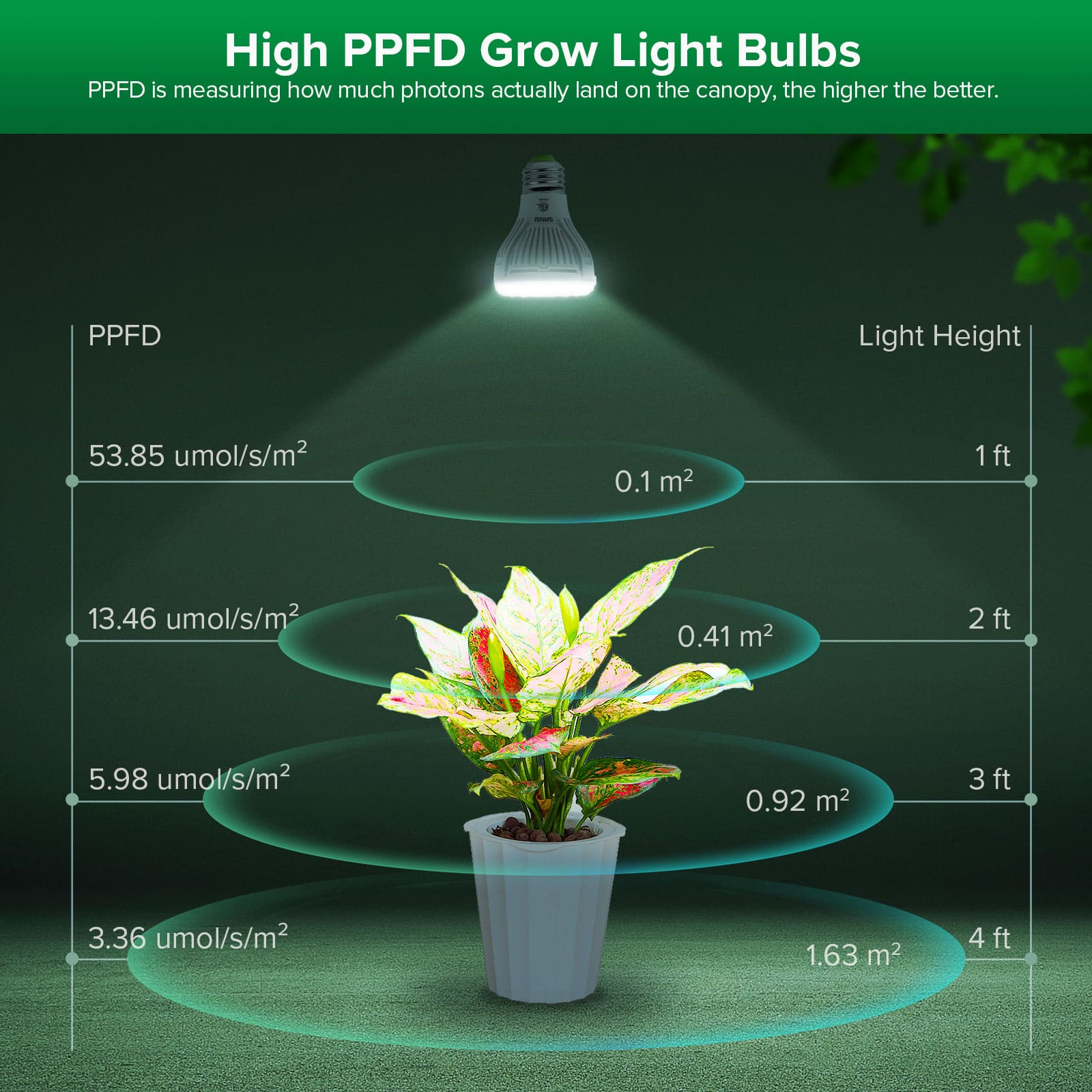 High PPFD Grow Light Bulbs：PPFD is measuring how much photons actually land on the canopy, the higher the better.