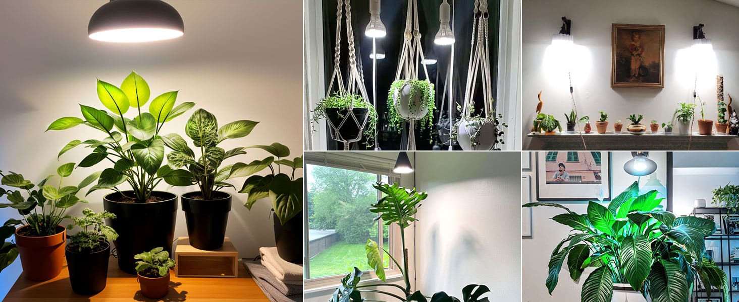 PAR20 5W LED Grow Light Bulb With Remote Control (US ONLY)