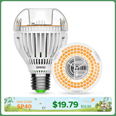 A19 30W LED 3000K/5000K Light Bulb (US/CA ONLY)