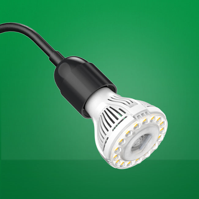 Replaceable bulbs:The bulbs of this product can be replaced, which not only facilitates customers to replace broken bulbs at any time but also avoids wasting money to repurchase the whole grow light.