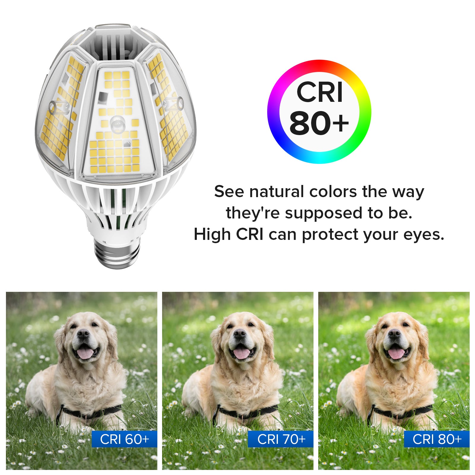 A21 60W LED 5000K Light Bulb (US ONLY) has 80+ CRI,protect your eyes.