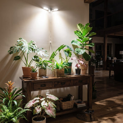 SANSI 60W LED Wall Mounted Grow Light with Remote Control (US ONLY)