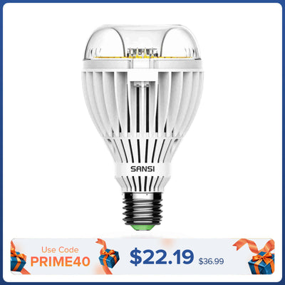 Lampadina LED A21 36W 3000K/5000K (SOLO USA/CA) 