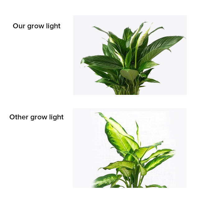 High PPFD- 290μmol/s/㎡ @1ft：Through the lens for secondary scientific light distribution, SANSI grow light improves light utilization, give plants more supplementary light, effectively promotes plant growth.
