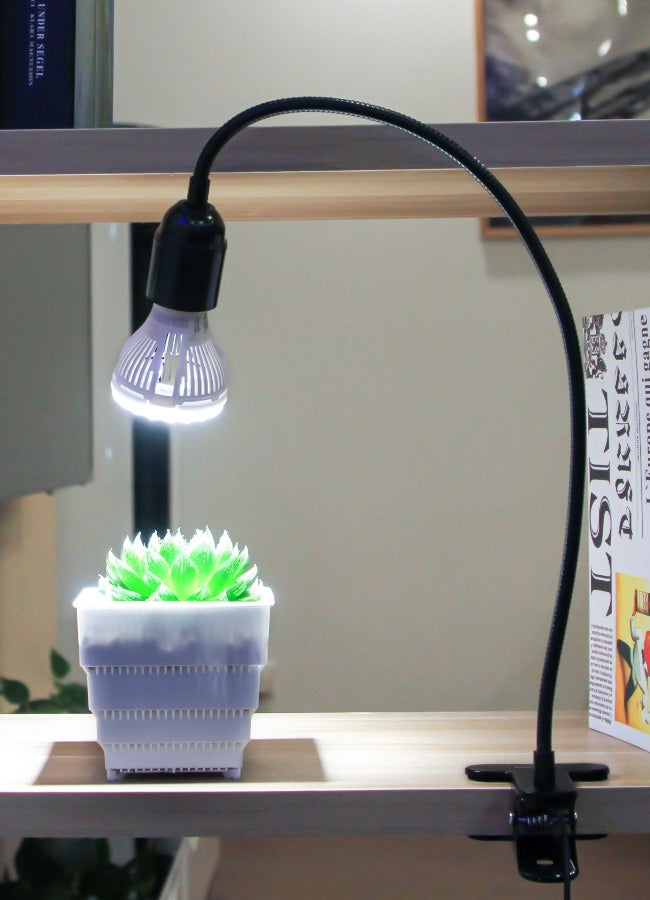 10W Adjustable 1-Head Clip-on LED Grow Light is clipped on the bookshelf, the light of the bulb is on a pot of succulence, succulence grows healthily under the light of the lamp.