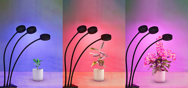 The appearance of this 24W Adjustable 3-Head Clip-on Grow Light in three lighting modes.